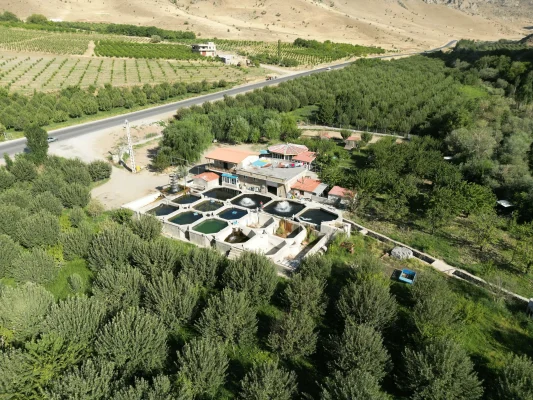 استخر پرورش ماهی