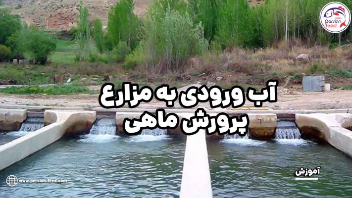 تشخیص انواع نژاد ماهی