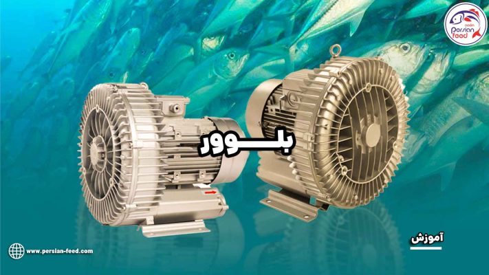 بلوور
