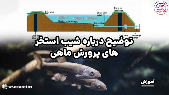 شیب استخر های پرورش ماهی