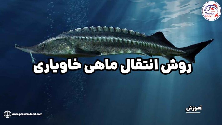 روش انتقال ماهی خاویاری