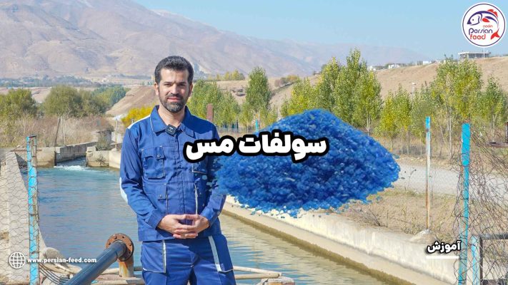 سولفات مس