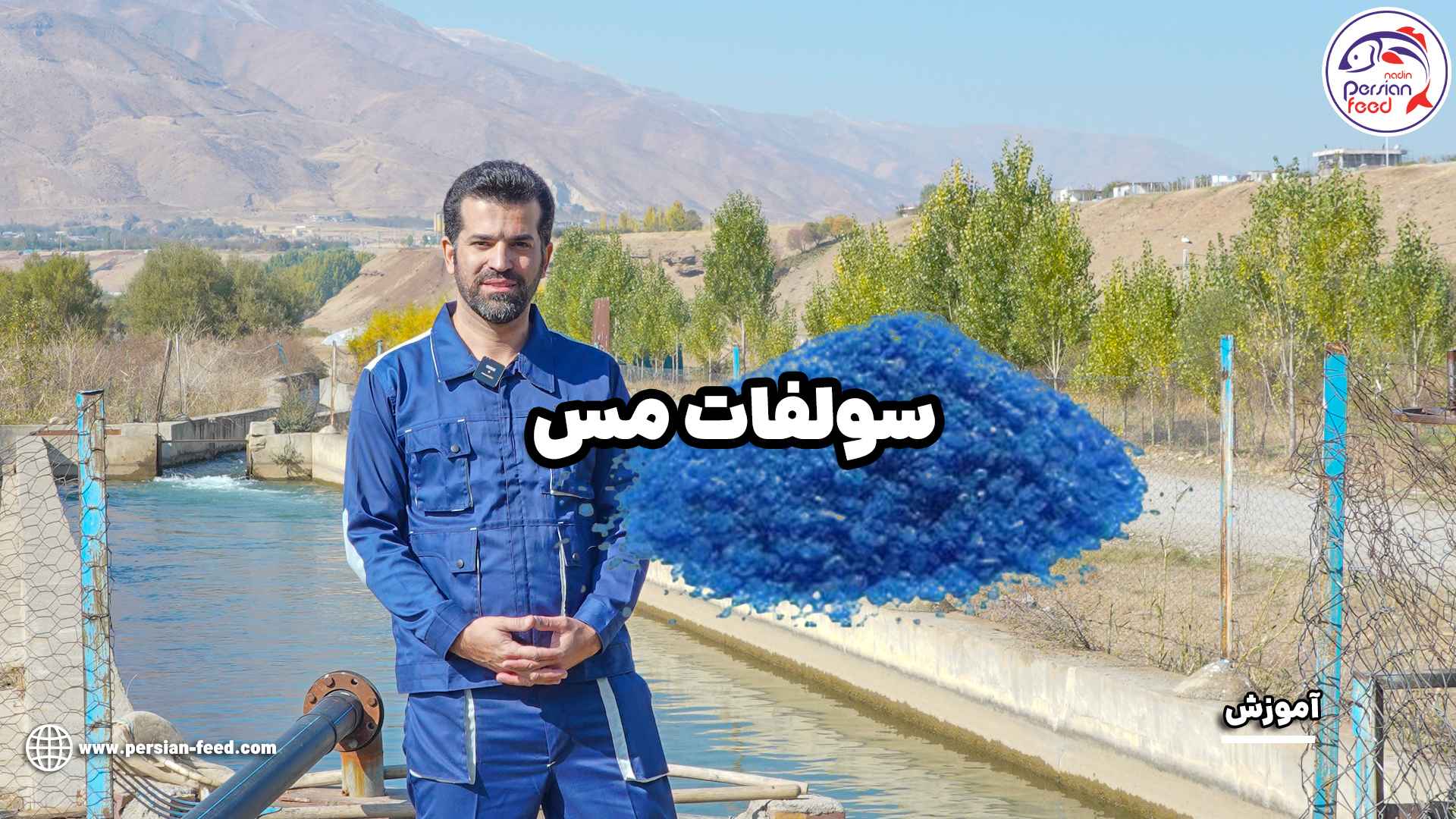 سولفات مس
