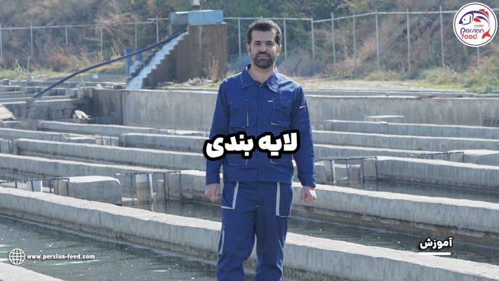 لایه بندی