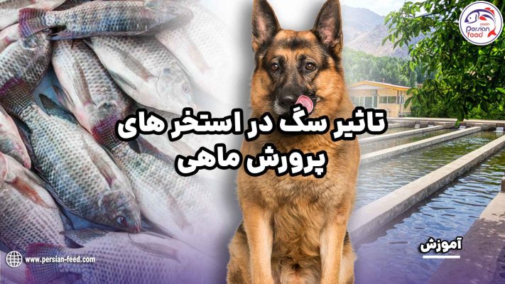 تاثیر سگ در استخر های پرورش ماهی