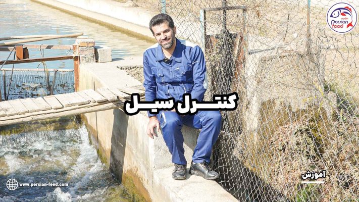 کنترل سیل