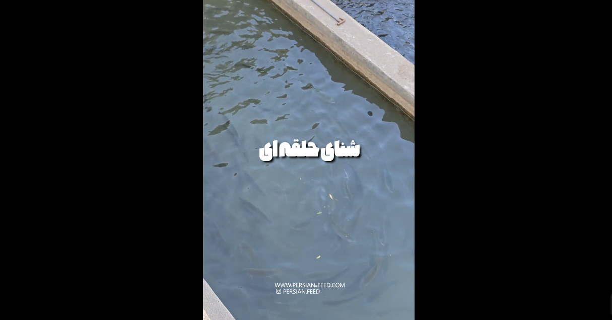 علت شنای حلقه ای ماهی ها