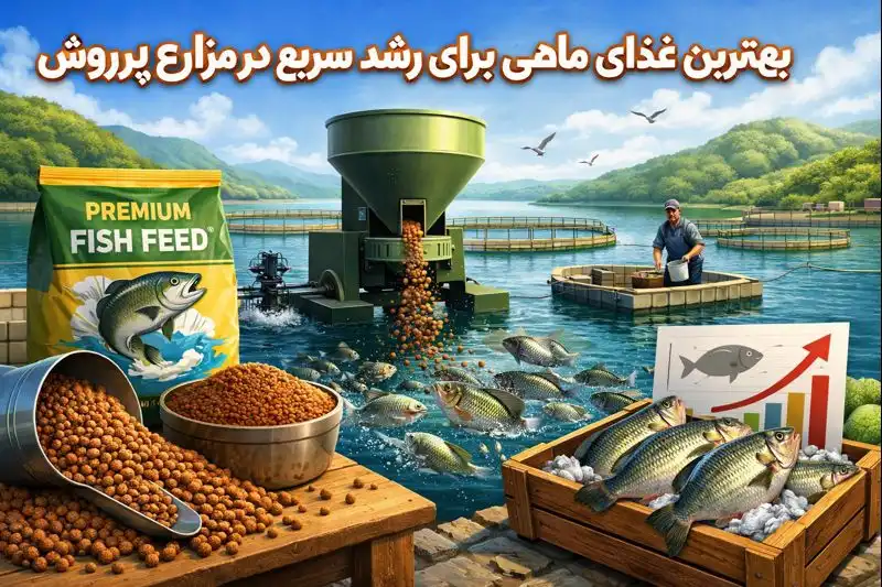 بهترین غذای ماهی برای رشد سریع در مزارع پرورش