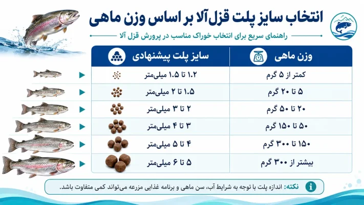 وزن ماهی قزل آلا