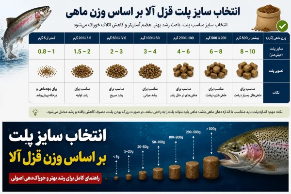 انتخاب پلت قزل آلا